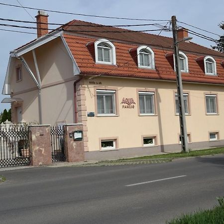 Aqua Panzio Hotel Hajduszoboszlo Bagian luar foto